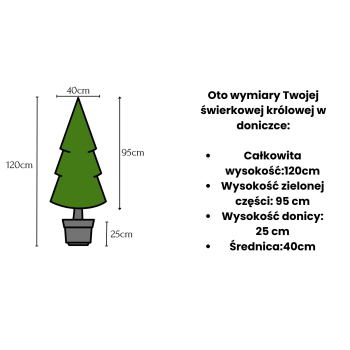 Choinka Świerk Modern Classic w donicy 120cm