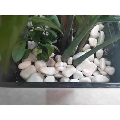 Kamień Otoczak White Angel 20-40mm 20kg