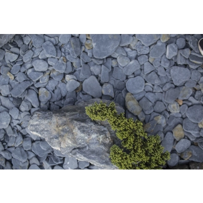 Otoczak Łupek Kora Antracytowa ANTICO 20-40