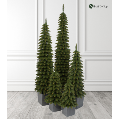 Choinka Świerk Zakopiański Super slim  Premium w donicy