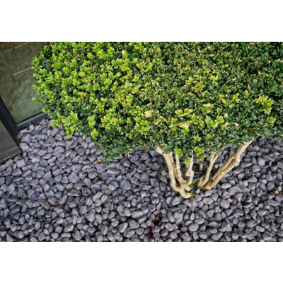 Otoczak Nero Ebano   15-25  (worek 20 kg)