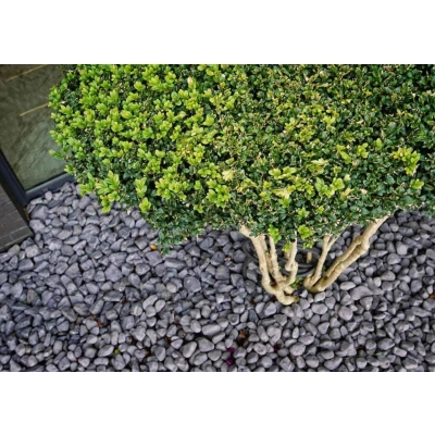 Otoczak Nero Ebano 25-40(worek 20 kg)