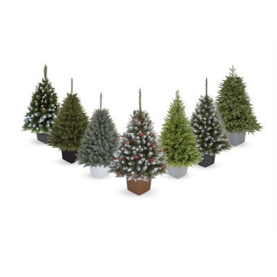 Choinka sztuczna Świerk kaukaski w donicy