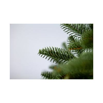 Choinka sztuczna Świerk kaukaski w donicy