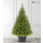 Choinka sztuczna Świerk kaukaski w donicy
