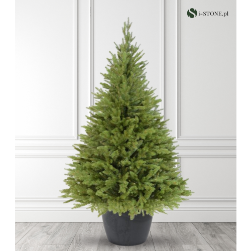 Choinka sztuczna Świerk kaukaski w donicy